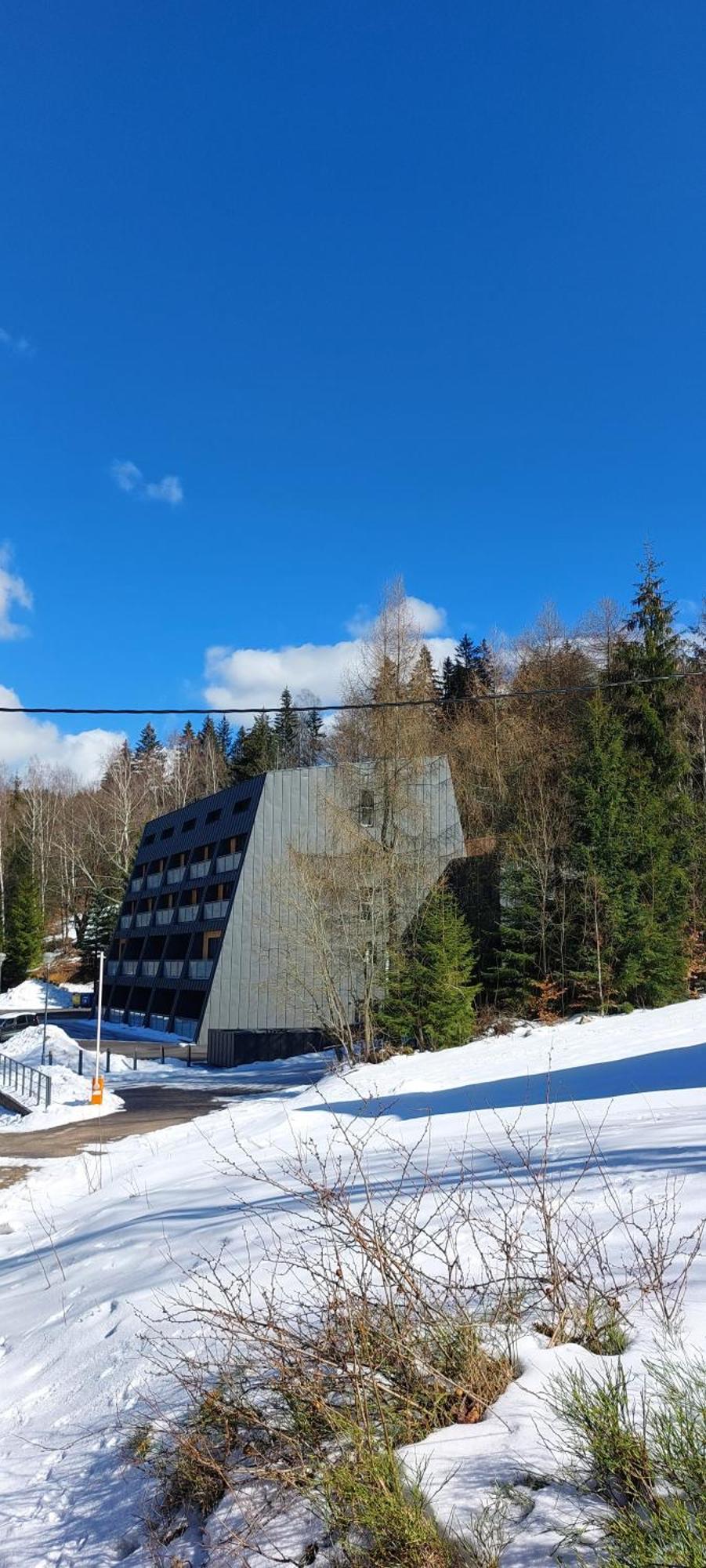 Apartman Na Kraji Lesa Janov nad Nisou Exterior photo